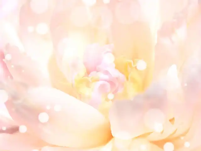 RAYSEEスクリーンショット背景