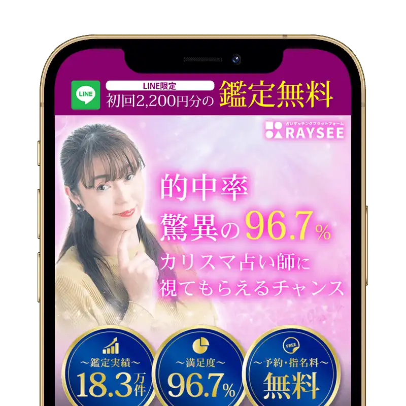 RAYSEEスクリーンショット
