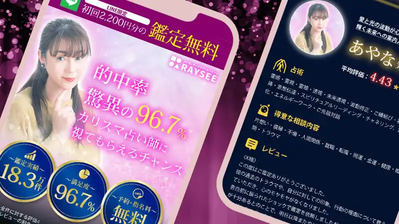RAYSEEスクリーンショット