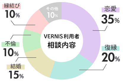 ヴェルニ利用者の相談内容